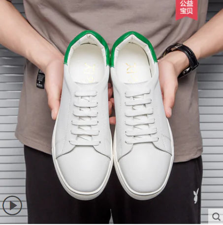 Casual Shoes, Casual Shoes, Casual Shoes