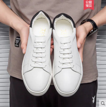 Casual Shoes, Casual Shoes, Casual Shoes